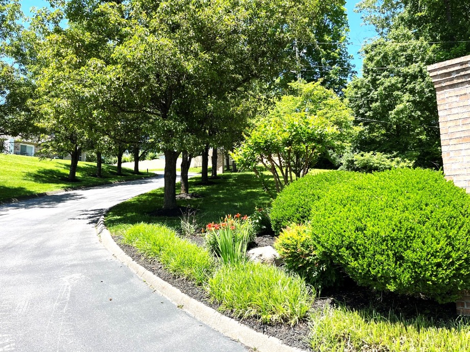 Knoxville Condo For Sale World Class Photo Artists 