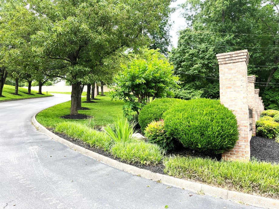 West Knoxville Condominium For Sale World Class Photo Artists 