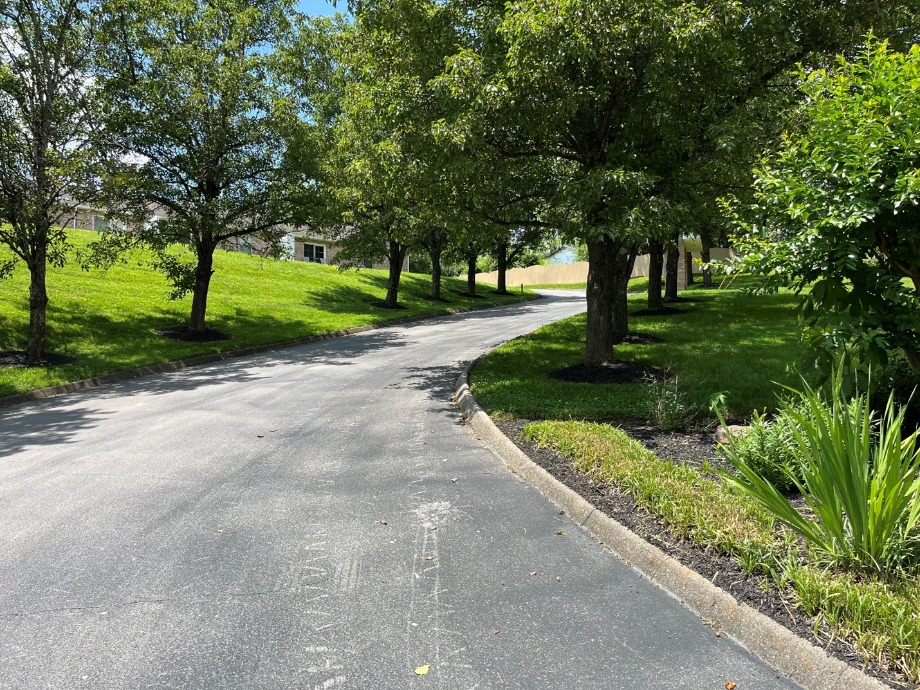 Condo For Sale in West Knoxville World Class Photo Artists 