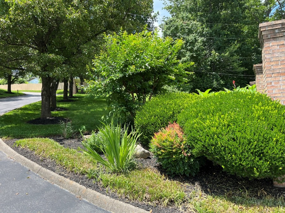 Condo For Sale in West Knoxville World Class Photo Artists 