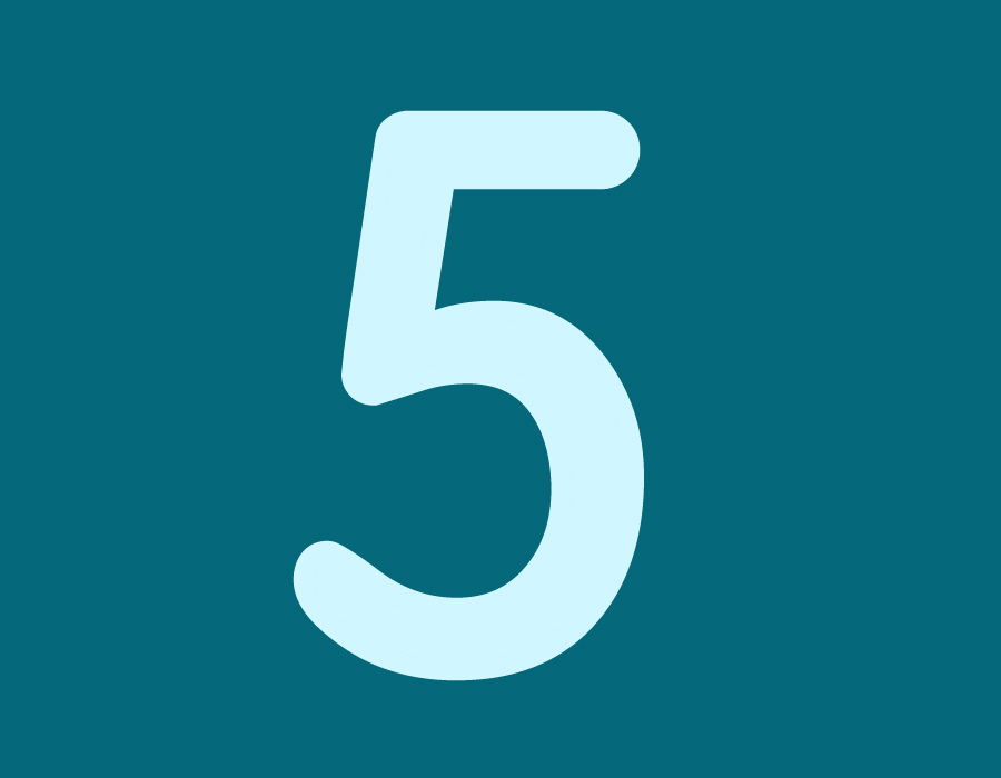 Gracie Test World Class Photo Artists 